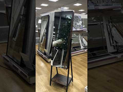 Dark Wood Cabinet Mirror Brown